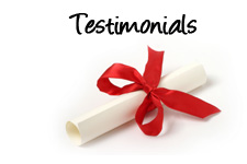 Our Button user testimonials